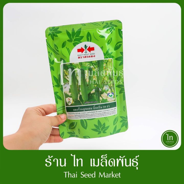 เมล็ดพันธุ์ศรแดง แตงร้าน บิ๊กกรีน 25 F1 ผลใหญ่
