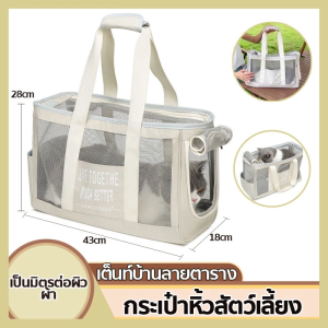 🔥ขนาดใหญ่🔥กล่องใส่สัตว์เลี้ยง 49.5 * 32 * 32.6 ซม. เหมาะสําหรับการขนส่งแมวสุนัขและสัตว์เลี้ยงอื่นๆ แถมแผ่นรองฉี่+ชามแมว（กรงเดินทาง กรงหิ้ว กล่องเดินทางสัตว์เลี้ยง กล่องใส่สุนัข กล่องใส่แมว กรงสัตว์เลี้ยง กรงแมว กรงพาสัตว์เลี้ยงไปเที่ยว）