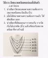 สร้อยสแตนเลสแท้ สร้อยลายสี่เสาเล็ก สร้อยคอสแตนเลส ไม่ลอกไม่ดำ ใส่อาบน้ำได้ สินค้าของไทย พร้อมส่ง. 