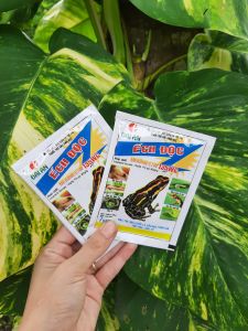 [Freeship Max] Thuốc trừ sâu sinh học Ếch Độc 135WG trừ sâu cuốn lá sâu đục thân lúa sâu tơ rầy nâu gói 7gram_VTNN TIEN KHOA