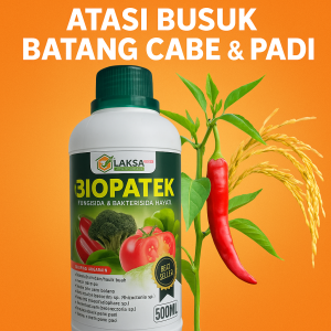 BIOPATEK 500ML – Obat Busuk Batang Cabe & Padi Paling Ampuh! Bestseller Petani