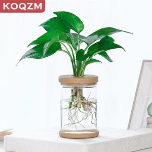 [COD] KOQZM KITCHEN Transparent Flower Pot Hydroponic Automatic Water Absorption Plastic Flower Pot