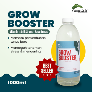 Vitamin B1 Tanaman Organik Grow Booster 1 Liter