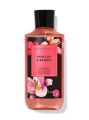 Bath & Body Works แบบ Shower Wash  รุ่น Limited กลิ่น Vanilla Bean Noel , Mad about you ,Twisted Peppermint , Winter Candy Apple  ออกเฉพาะคริสมาสต์ ใหม่แท้ 100%  US. 