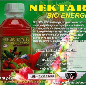 BMW Nektar Bio Energi Strawberry Vitamin Burung Minuman Energi untuk Pleci