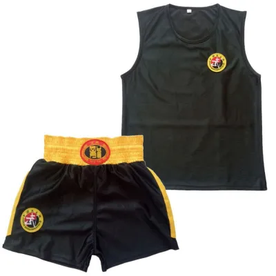 HEALMEYOU Vest MMA Muay Thai Shorts and T-Shirts Free Combat Shorts Sanda Uniform Sport Wushu Trunks Dragon Kick Boxing Suit Women