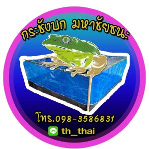 บ่อผ้าใบ 1x2x0.45เมตร แถมฟรีวาวปล่อยน้ำทิ้ง