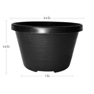 กระถาง กระถางทรงถ้วย กระถางเตี้ย ขนาด เบอร์ 10 9.5 นิ้ว สีดำ ยกมัด 100 ใบ