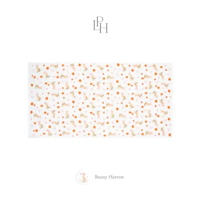 Little Palmerhaus - Handuk Bayi Tottori (Tottori Baby Towel)