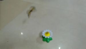 360° Automatic Rotating Cat Toy Interactive Butterfly Bird Teaser Stick