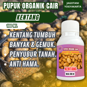 Pupuk Kentang Organik Terbukti Ampuh Lebatkan Kentang Gemuk Padat Berkualitas By Jagotani Yogyakarta