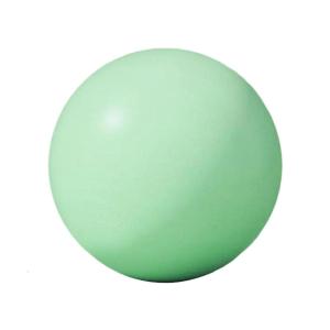 25cm 10Inch Pilates Ball Small Exercise Ball Mini Yoga Ball Gym Ball for Home Gym Pilates Yoga Balance Core Training