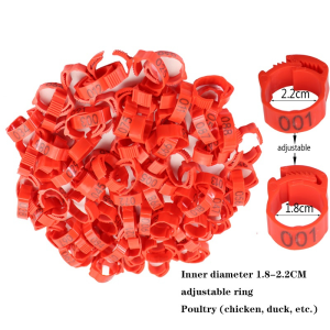 Cincin Klip Kaki Ayam 100pcs - Gelang Kaki Ayam Bebek Klip Plastik- Gelang Kaki Ayam