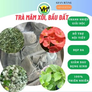 Trà túi lọc mâm xôi bầu đất - Điều hòa kinh Nguyệt giảm khô hạn bổ trứng 25 gói túi lọc