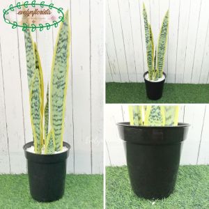Pohon Hias Lidah Mertua Latex Hijau Muda Hijau Tua Hijau Full Artificial Pot Effiel Hitam Sanseveia Pajangan Rumah