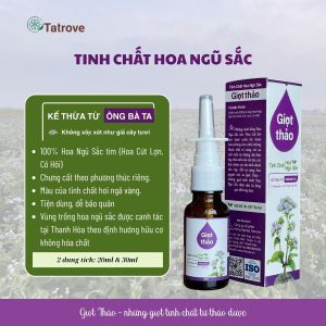 Xịt Xoang Mũi Thảo Dược Cú Đấm Thép 25ML Hết Viêm Xoang Khoang Mũi Thông Thoáng Sạch Mũi Tức Thì
