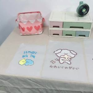 Travel Buggy Bag Clothes Clothing Underwear Organizing Bag Envelope Bag Luggage Transparent Waterproof Portable Dispensing Bag