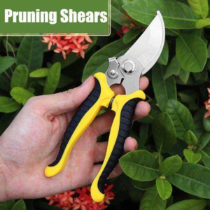 Gunting Premium Quality Yellow Gunting Dahan Stek Ranting Tanaman Tajam pruningshears