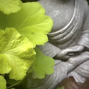 9 Inch Vintage Garden Buddha Statue Indoor Outdoor Garden Zen Buddhism Figurine Sculpture Home Office Store Decor Ornament