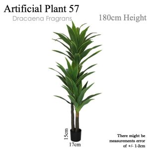 ⭐DRACAENA FRAGAN⭐ Artificial Plant Decor Tree Indoor Plant Decoration Plant Home Decor Office Plant Lobby Plant Decoration Artificial Greenery Indoor Tree Artificial Plant Decoration Indoor Plant Decor for Home Office Hotel Lobby Interior Decoration