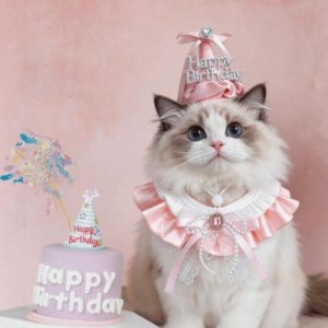 TAMARAH Bowknot Pet Birthday Hat Scarf Set Rhinestone Cute Happy Birthday Cone Hat Comfortable Adjustable Birthday Hat and Collar Set Puppy Costume