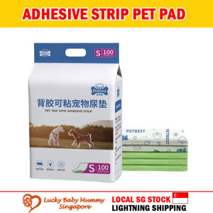 Pet Pad with Adhesive Strip For Dogs Cat Diaper/ Training Small Animals Pee Pads Rainbow Culture