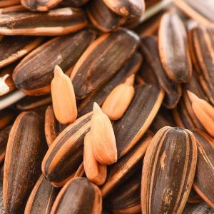 The skin is thin and easy to eat. New goods in the season original melon seeds are now fried and found without desiccant bulk fried goods spiced melon seeds