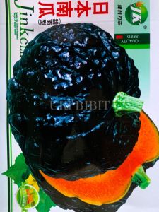 Kemasan Original | Benih Biji Labu Hitam Jepang | Black Futsu | Labu Jepang | Black Pumpkin