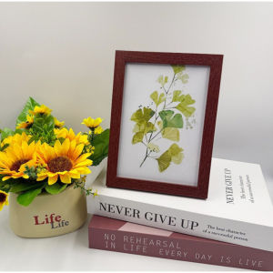 Wooden Photo Frame for 4R 5R 6R 8R A4 Wall Picture Art Hang Stand Frame (JBox)