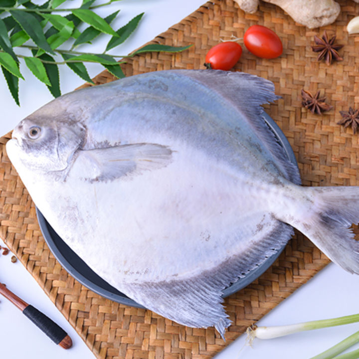 [Ah Lian Pasar] Local Chinese Pomfret 本地斗鲳 (Whole Fish) | Lazada