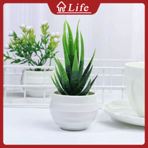 Simulation Potted Plant Mini Plastic Artificial Simulation Succulent Aloe Vera Small Potted Simulation Green Radish Potted Fake Flower Potted Plant