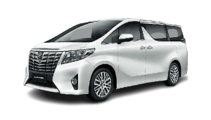 070 Cat Oles Penghilang Baret Lecet Mobil Toyota Alphard Vellfire Voxy Putih Mutiara White Pearl