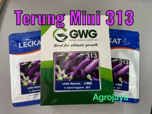Fresh Stock Baru Sampai!!!  Terung Mini 313 Leckat Little Nyonya F1 Hybrid Eggplant 10gm 小娘惹 茄子 种子