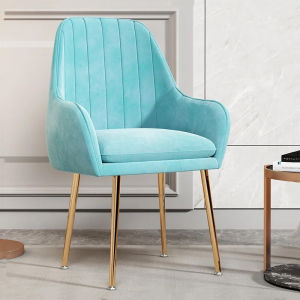 TAYLOR LIVING Nordic ins chair net red make-up chair simple desk chair dressing chair dining chair household