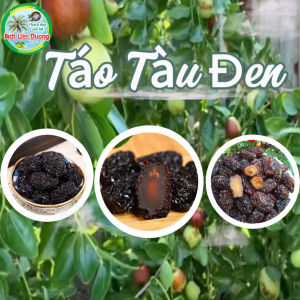 1KG_TÁO TÀU ĐEN SẤY KHÔ/MỀM DẺO