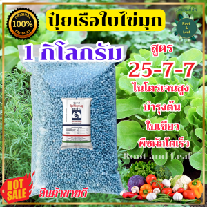 ปุ๋ย 25-7-7ตราเรือใบไข่มุก ปุ๋ยบำรุงต้น บำรุงใบ เร่งการแตกยอด ไนโตรเจนสูง ปุ๋ยเม็ดสีฟ้า เหมาะสำหร้บพืชที่เจริญเติบโตทางใบ แบบตักแบ่ง ปุ๋ยคุณภาพดี สินค้าพร้อมส่ง ส่งเร็ว ส่งไว