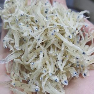 Cá cơm mờm khô (cá mờm cơm khô) thịt thơm ngon tại biển Nghệ An_khô cá mờm cơm gói 100g - Hàng chất lượng