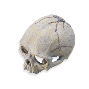 Skull Head Reptiles Hideouts Caves Resin Landscape Decoration Fishtanks Terrariums Accessories for Snake Bearded Dragon