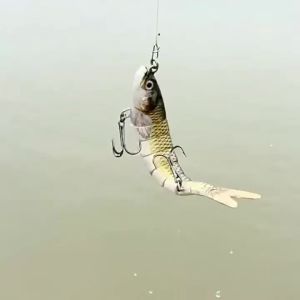 Combo Bộ Mồi câu cá mồi câu cá nhân tạo mồi nhiều khớp Minnow