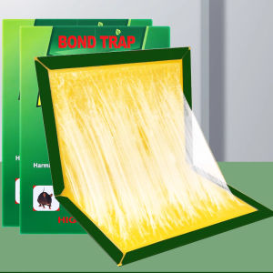 Quick delivery กาวดักหนู เหนียวหนึบพิเศษ ติดทน ปลอดสารพิษ กันน้ำและกันความชื้น กำจัดหนูในบ้าน