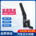 Ignition Coil 3W7Z 12029 AA DG508 DG491 F7TU 12A366AB Compatible with Ford and Lincoln. 
