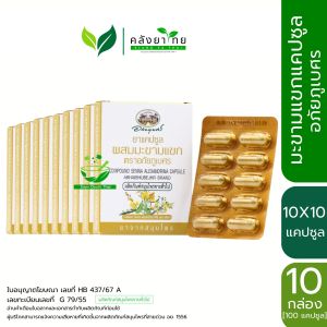 [ยกแพ็ค] อภัยภูเบศร มะขามแขก ขนาดพกพา บรรจุ 10 แคปซูล/แผง แพ็ค 10 กล่อง มะขามแขกแคปซูล