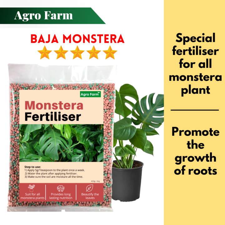 Agro Farm Monstera Fertiliser / Fertilizers for plants / Baja pokok monstera  Compound Fertilizer For Monstera Monstera Soil Mix 3Packs - Lazada | Lazada