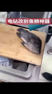 Quick Install Fish Descaler 6 Metal Blade Effortlessly Scale Removal Universal Power Tool Adapter