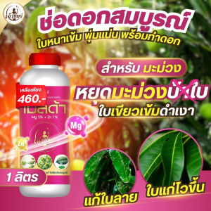 หยุดมะม่วงบ้าใบ ให้พร้อมทำดอก เร่งใบแก่เขียวเข้ม ใบดำเงา กดยอด หยุดใบอ่อน ป้องกันอาการขาดธาตุ ใบแก้ว ใบลาย ใบด่าง (เมลด้า ขนาด 1 ลิตร)