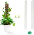 LZD 24 Inch Plant Plastic Moss Pole Plant Pile and Mud Moss Support Climbing Plant Pole Moss Pole. 
