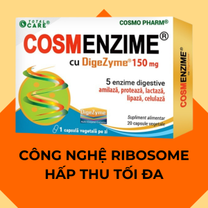 CosmEnzime® hàm lượng cao 150mg Phức hệ (Digezyme) 5 loại enzyme tiêu hóa Enzyme thuần chay