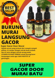 penggacor burung murai SUPER GACOR DOOR MURAI BATU juara gantangan Dijamin Auto Gacor