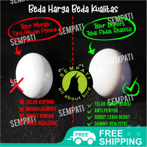 SEMPATI Telur Palsu Mainan Burung Merpati DENECDE1