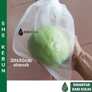 10 pcs Nylon Fruit Mesh Bag Garden Fruit Net 20x30cm for Pest Control (Insects fruit flies caterpillars birds squirrels rats monkeys cats) Jaring Membalut Buah Kebun Mencegah Lalat Buah dan Serangga Perosak 防蟲網 水果袋 SHS Kebun